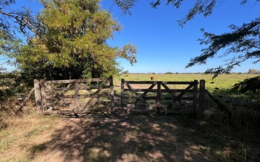 Oportunidad de inversión real en Luján